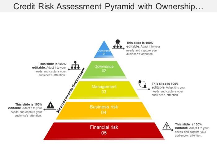 Credit risk assessment toolkit management